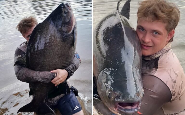 Jovem pesca ‘monstro dos rios’ de mais de 40 kg; vídeo