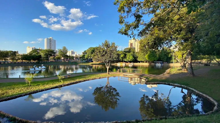 Justiça manda suspender corte de árvores no Lago das Rosas